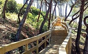 Beach,Surf, Hiking And More